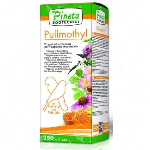 Pullmothil 125ml (Tratamiento para vía respiratoria)