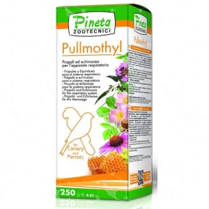 Pullmothil 24ml (Tratamiento para vía respiratoria)