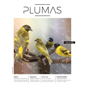 Revista Plumas Nº4