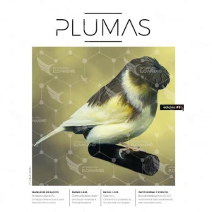 Revista Plumas Nº8