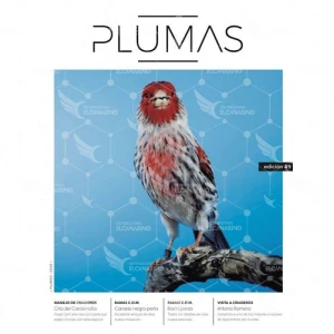 Revista Plumas Nº9