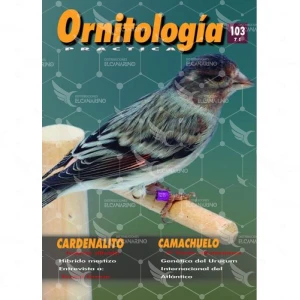 Revista Práctica Nº103