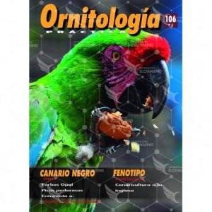 Revista Práctica Nº106