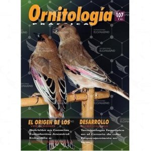 Revista Práctica Nº107