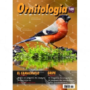Revista Práctica Nº108