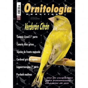 Revista Práctica Nº91