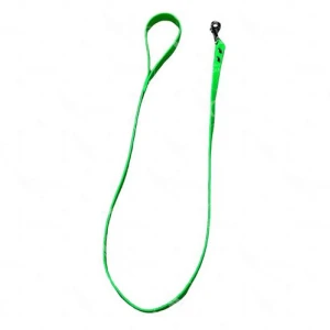 Correa para Perro Mate 120x1,6cm - (Verde)
