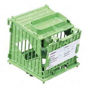 Nido Galileo 8 cm Verde STA