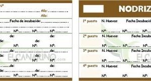 Tarjeta Cría 4 Nidadas + Nodrizas 11,5cm x 8cm