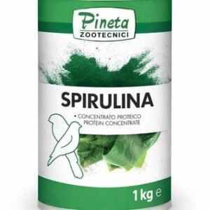 Spirulina 1kg Pineta