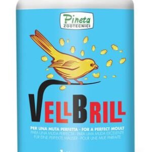 Vell Brill 1kg (Muda - Plumaje sin dore)